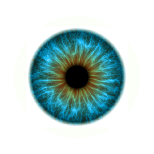 ocni joga kurzy workshopy